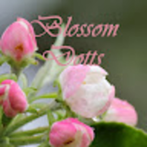 blossom_dotts